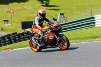 Middle Group Orange Bikes